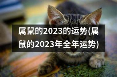 属鼠的2023的运势(属鼠的2023年全年运势)