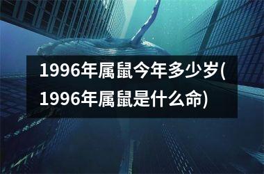 1996年属鼠今年多少岁(1996年属鼠是什么命)