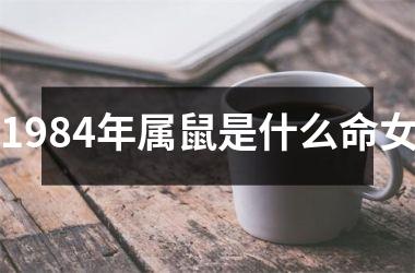 <h3>1984年属鼠是什么命女