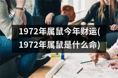 1972年属鼠今年财运(1972年属鼠是什么命)