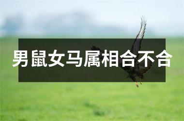 <h3>男鼠女马属相合不合
