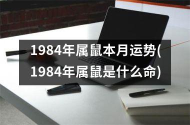 1984年属鼠本月运势(1984年属鼠是什么命)