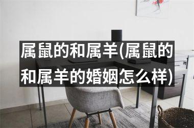 <h3>属鼠的和属羊(属鼠的和属羊的婚姻怎么样)