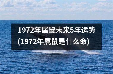 1972年属鼠未来5年运势(1972年属鼠是什么命)