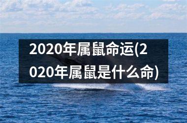 <h3>2025年属鼠命运(2025年属鼠是什么命)