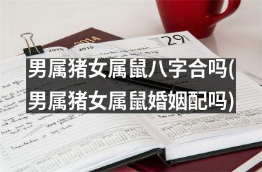 <h3>男属猪女属鼠八字合吗(男属猪女属鼠婚姻配吗)