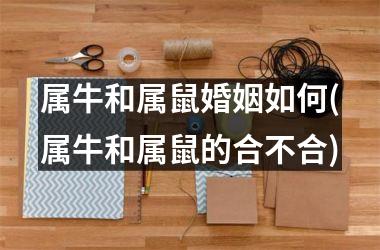 <h3>属牛和属鼠婚姻如何(属牛和属鼠的合不合)