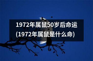 1972年属鼠50岁后命运(1972年属鼠是什么命)