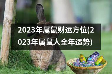 2023年属鼠财运方位(2023年属鼠人全年运势)