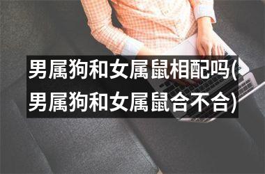 男属狗和女属鼠相配吗(男属狗和女属鼠合不合)