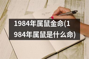 1984年属鼠金命(1984年属鼠是什么命)