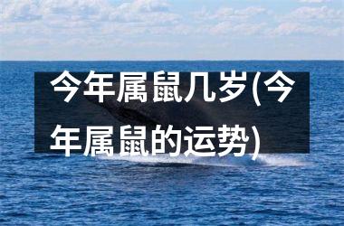 <h3>今年属鼠几岁(今年属鼠的运势)