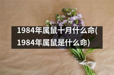 <h3>1984年属鼠十月什么命(1984年属鼠是什么命)