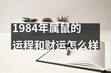 1984年属鼠的运程和财运怎么样