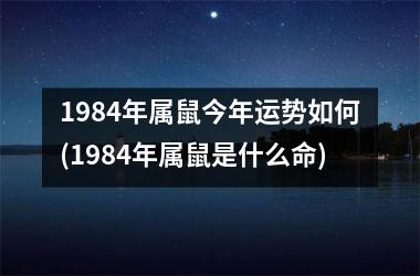 1984年属鼠今年运势如何(1984年属鼠是什么命)