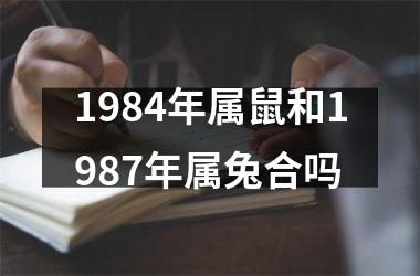 1984年属鼠和1987年属兔合吗