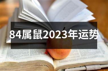 84属鼠2023年运势