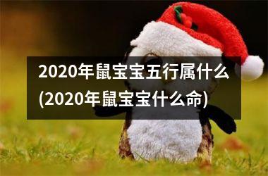 2020年鼠宝宝五行属什么(2020年鼠宝宝什么命)