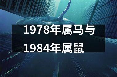 1978年属马与1984年属鼠