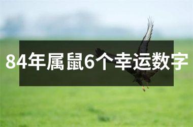 84年属鼠6个幸运数字