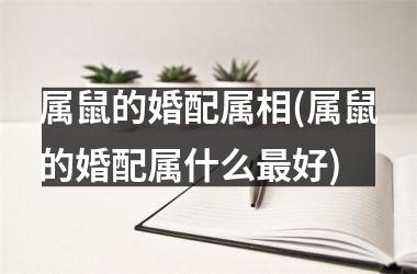 属鼠的婚配属相(属鼠的婚配属什么最好)