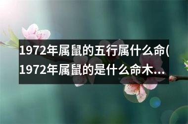 1972年属鼠的五行属什么命(1972年属鼠的是什么命木还是水)