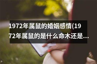 1972年属鼠的婚姻感情(1972年属鼠的是什么命木还是水)