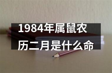 1984年属鼠农历二月是什么命