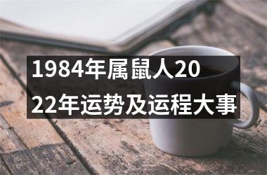 1984年属鼠人2022年运势及运程大事