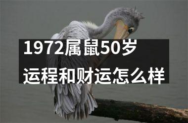 1972属鼠50岁运程和财运怎么样