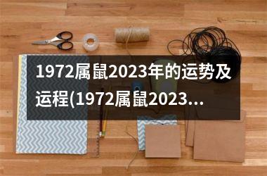 1972属鼠2023年的运势及运程(1972属鼠2023年的全年运势)