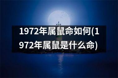 1972年属鼠命如何(1972年属鼠是什么命)