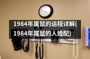 1984年属鼠的运程详解(1984年属鼠的人婚配)