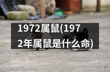 1972属鼠(1972年属鼠是什么命)