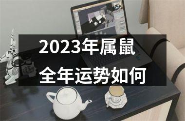 2023年属鼠全年运势如何