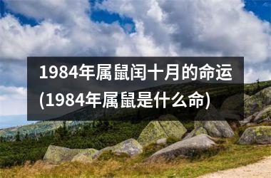 <h3>1984年属鼠闰十月的命运(1984年属鼠是什么命)