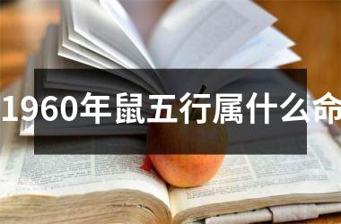 <h3>1960年鼠五行属什么命