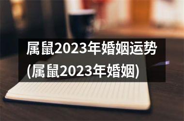 属鼠2023年婚姻运势(属鼠2023年婚姻)