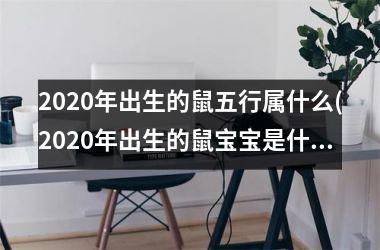 2020年出生的鼠五行属什么(2020年出生的鼠宝宝是什么命)