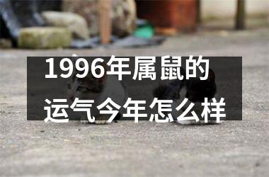 1996年属鼠的运气今年怎么样