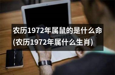 <h3>农历1972年属鼠的是什么命(农历1972年属什么生肖)