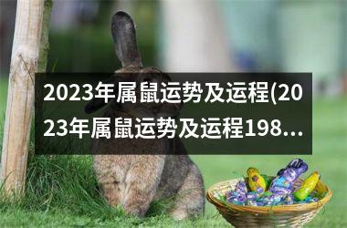 2023年属鼠运势及运程(2023年属鼠运势及运程1984年生人)