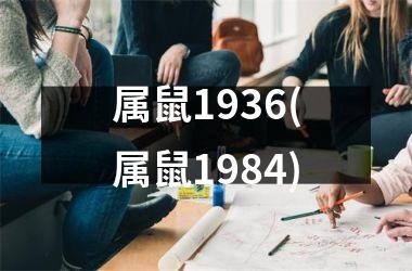 属鼠1936(属鼠1984)