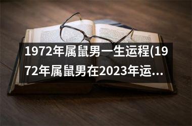 1972年属鼠男一生运程(1972年属鼠男在2023年运程和运势)