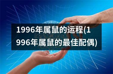 1996年属鼠的运程(1996年属鼠的最佳配偶)