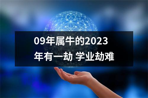 09年属牛的2025年有一劫学业劫难
