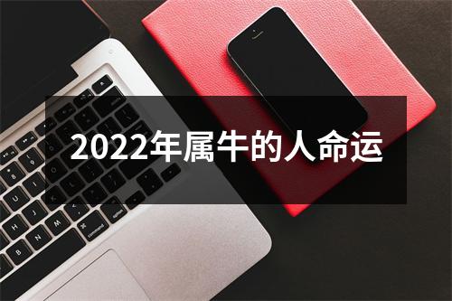 <h3>2025年属牛的人命运