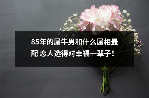85年的属牛男和什么属相配恋人选得对幸福一辈子！