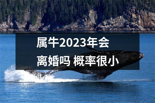<h3>属牛2025年会离婚吗概率很小
