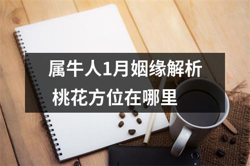 <h3>属牛人1月姻缘解析桃花方位在哪里